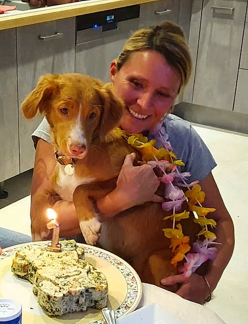 Coconut participe au concours pour gagner de l'argent avec cette photo : baked_goods, birthday_cake, cake, candle, carnivore, companion_dog, cuisine, dog, dog_breed, fawn, food, food_craving, ingredient, plate, recipe, smile, sporting_group, table, tableware, working_animal