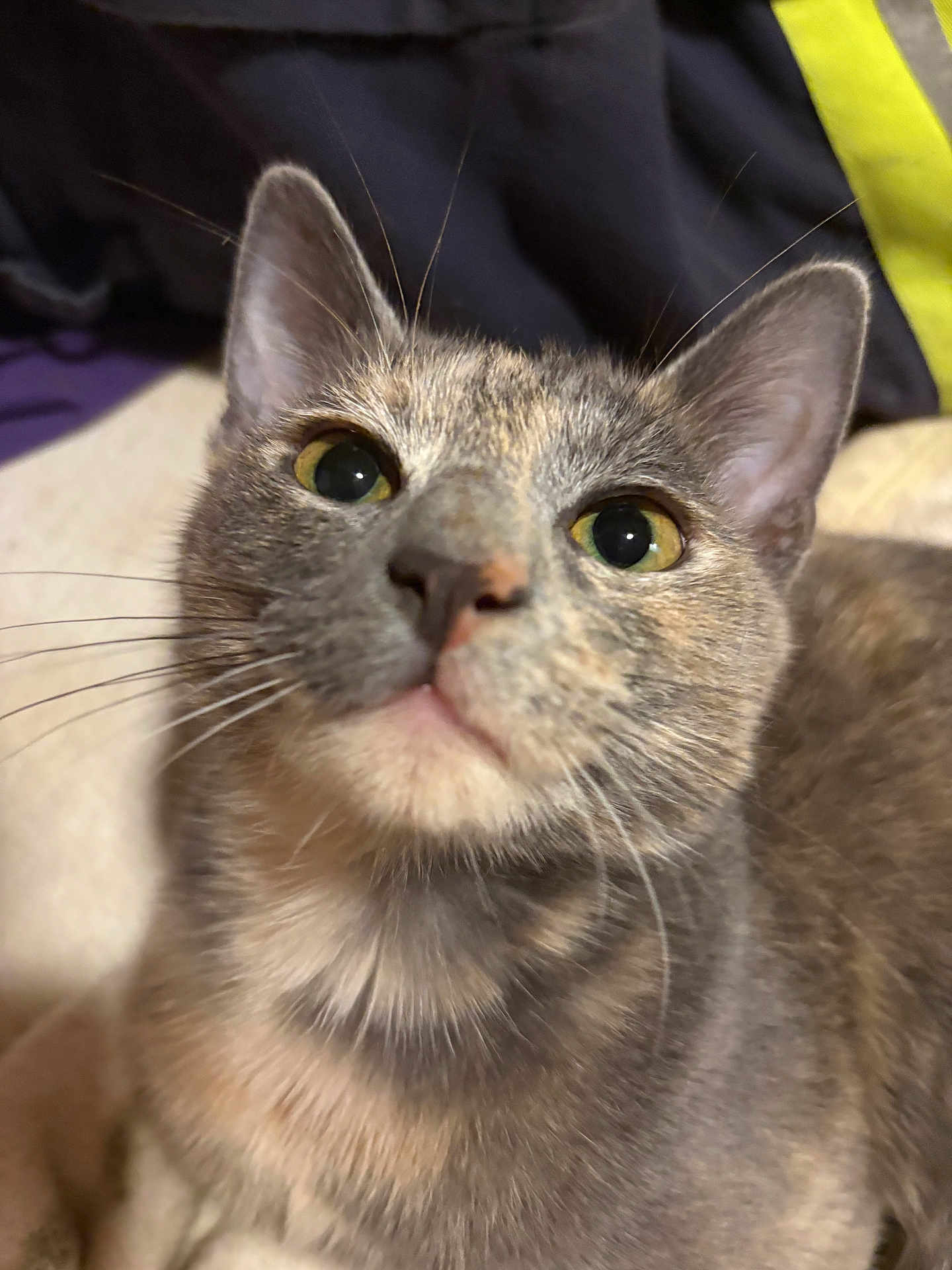 Luna