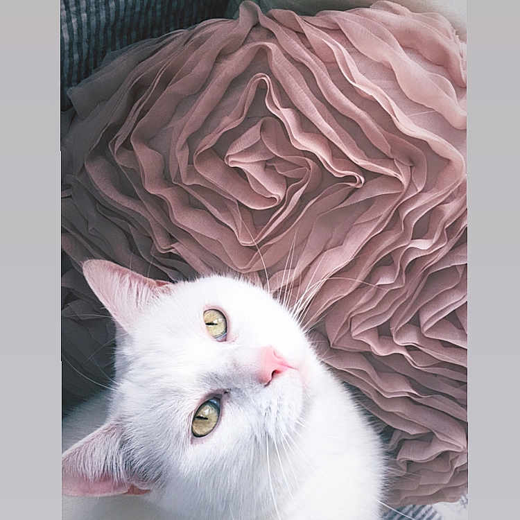 Tom