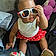 Wynter