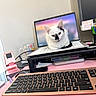 Fiji is registered to the contest to win money with this photo: cat, laptop, keyboard, desk, office_supplies, paper, mouse, cup, pen, phone, home_office, workspace, indoor, black_and_white_cat, technology, stationery, computer, feline, curious, relaxed