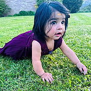 Vamika joined the competition — help win amazing prizes! baby, child, crawling, curious, cute, daylight, garden, grass, greenery, innocence, lawn, nature, outdoor, person, playful, portrait, purple_dress, small_child, toddler, young_child