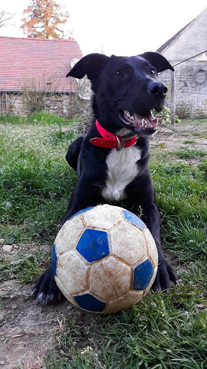 Jet