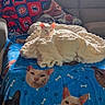 cat, white_cat, blanket, couch, window, indoor, autumn, leafy_trees, colorful_blanket, cat_faces, cozy, furniture, pet, relaxing, living_room, soft_texture, animal, home, daylight, orange_ears