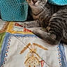 animal, blue_blanket, cat, colorful, cozy, cute, ears, eyes, fabric, fur, home, indoor, knitted_blanket, lying_down, pattern, pet, quilt, resting, tabby_cat, whiskers