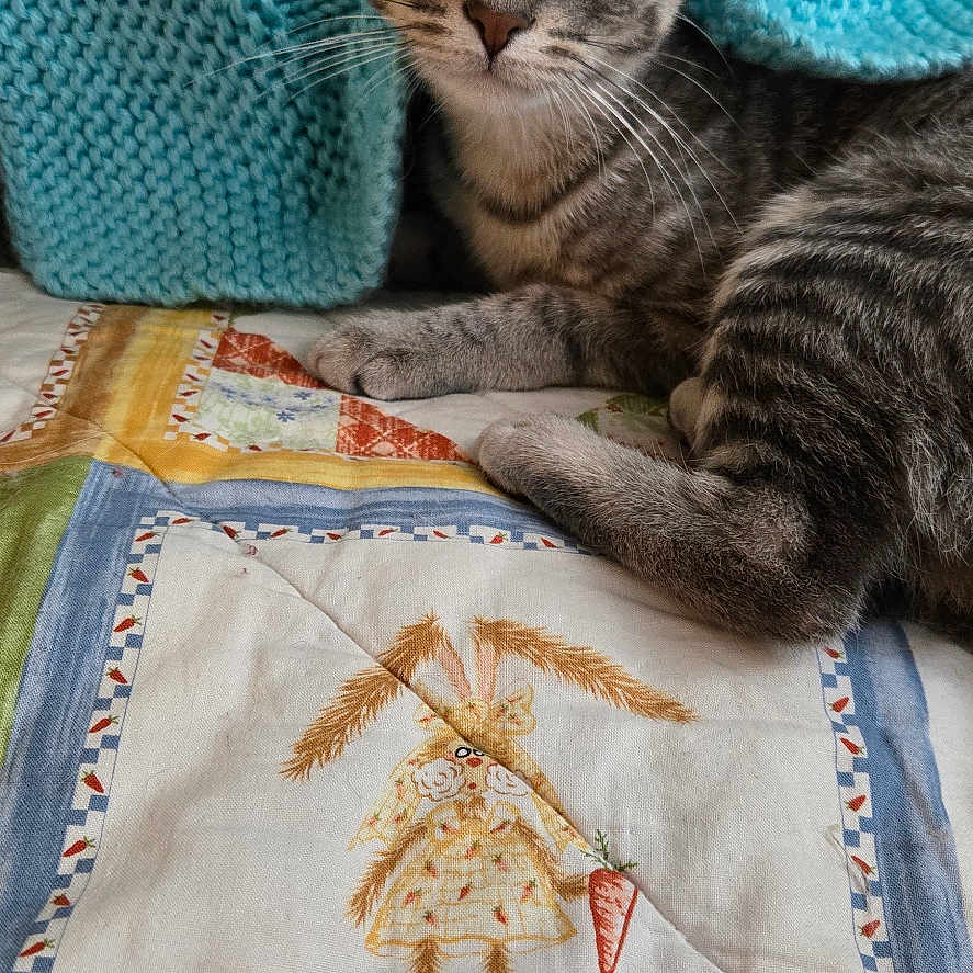 Angel