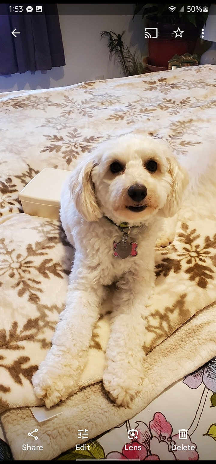 Abby