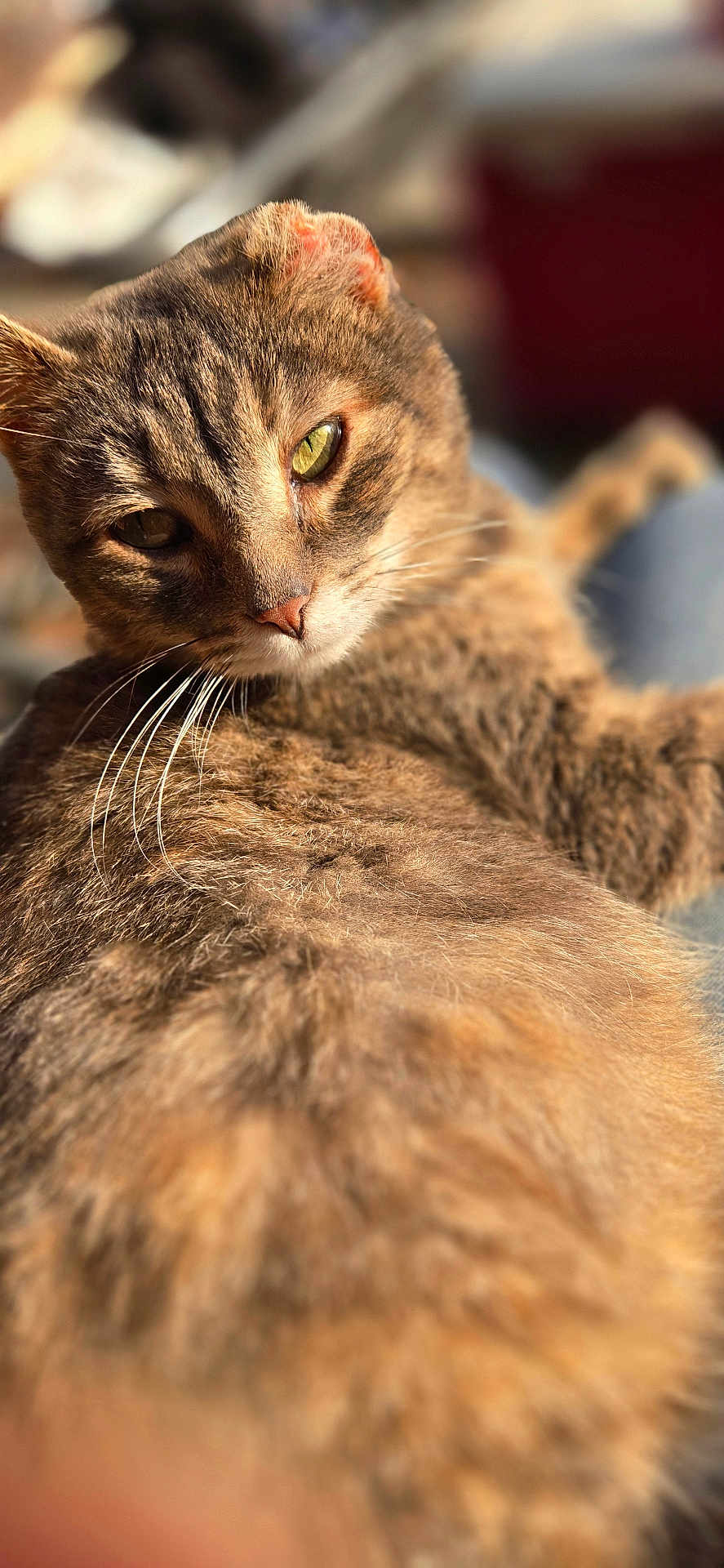 Mama