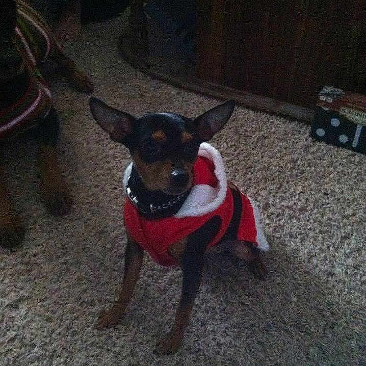 Otis joined the competition — help win amazing prizes!