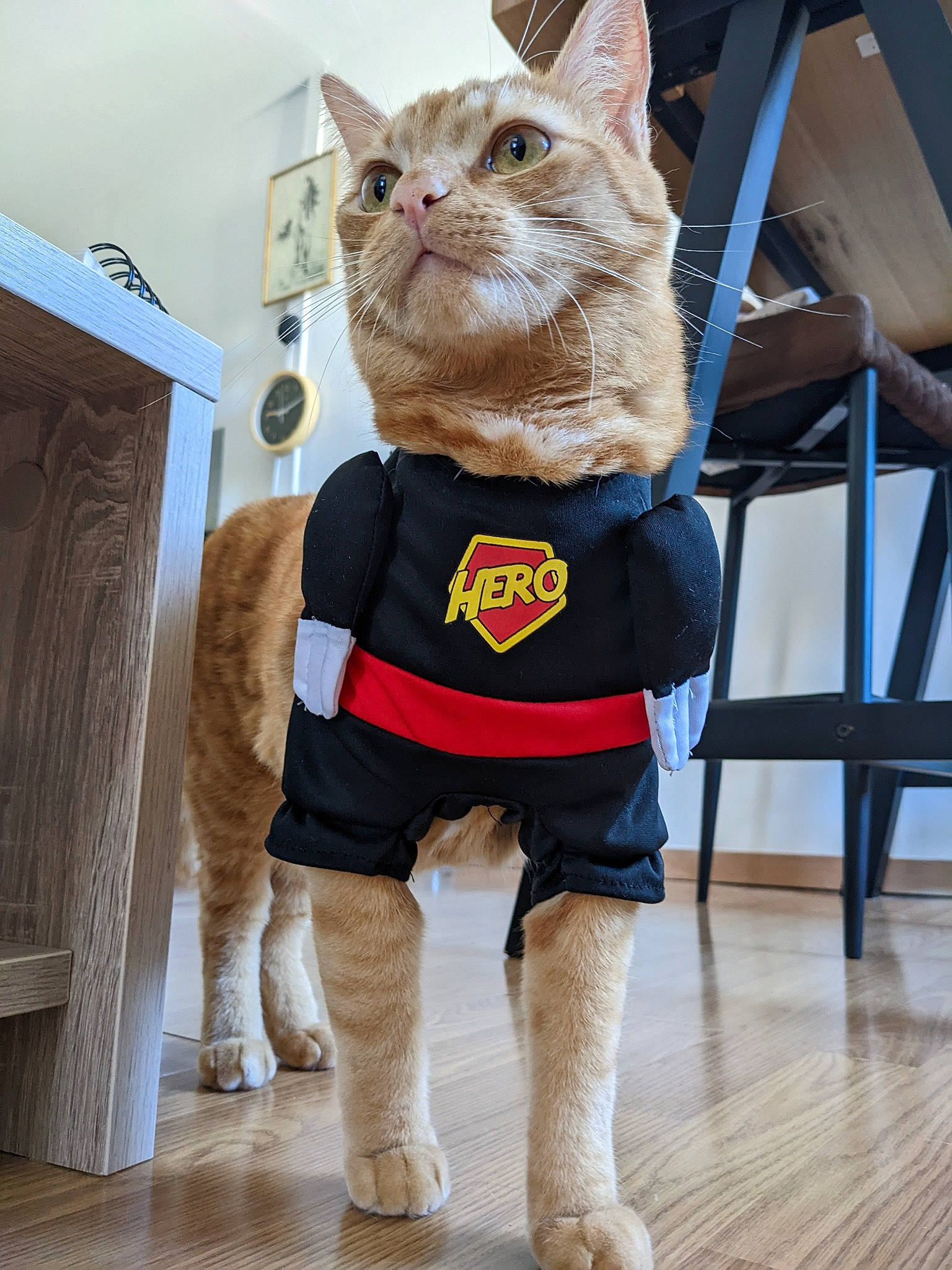 Coquille Saint Jacques