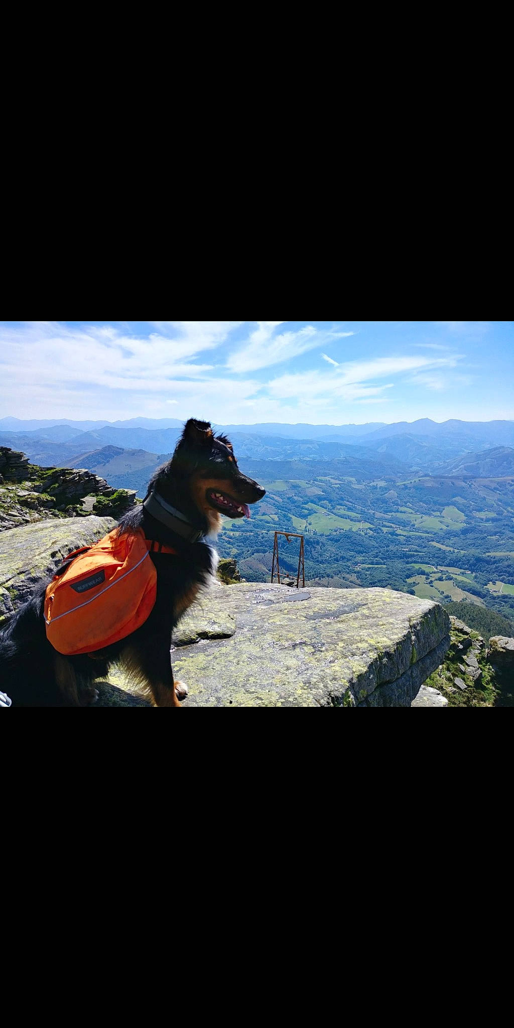 Bunker a rejoint le concours — aidez-le/la à gagner de superbes lots ! adventure, canidae, carnivore, cloud, dog, dog_breed, dog_hiking, hill, mountain, photography, sky, sporting_group, summit, tourism, travel, vacation