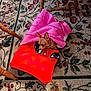 dog, blanket, pink, red, carpet, floral_pattern, wooden_chair, small_dog, pet, indoor, cozy, cute, animal, fur, collar, resting, floor, legs, domestic, curious