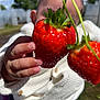 baby, blue_sky, child, close_up, cute, daylight, fresh, fruit, garden, greenery, hand, holding, nature, outdoor, person, playful, strawberry, summer, toddler, white_sweater