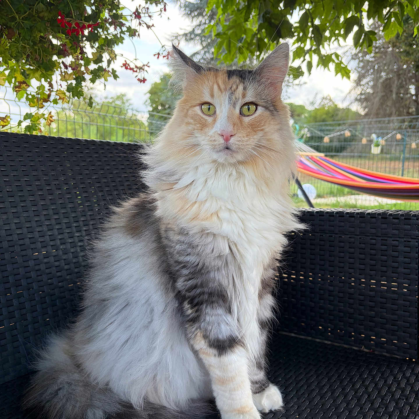 Tyra