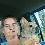 Rosie joined the competition — help win amazing prizes! woman, dog, car, rain, window, indoor, pet, animal, person, casual, companion, portrait, face, fur, seat, reflection, natural_light, expressionless, holding, closeup