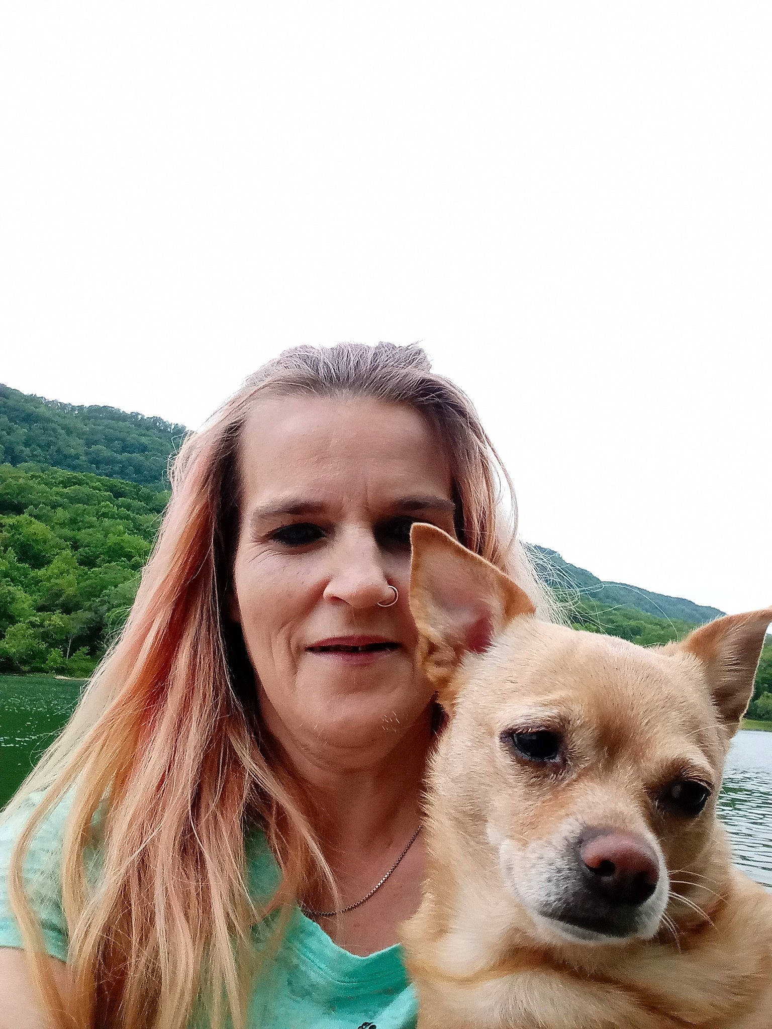 Rosie is registered to the contest to win money with this photo: canidae, carnivore, companion_dog, dog, dog_breed, fawn, fun, grass, happy, leisure, people_in_nature, recreation, sky, smile, sporting_group, tourism, travel, tree, water, whiskers