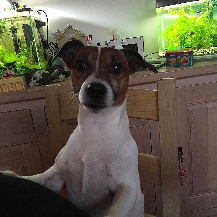 Doby