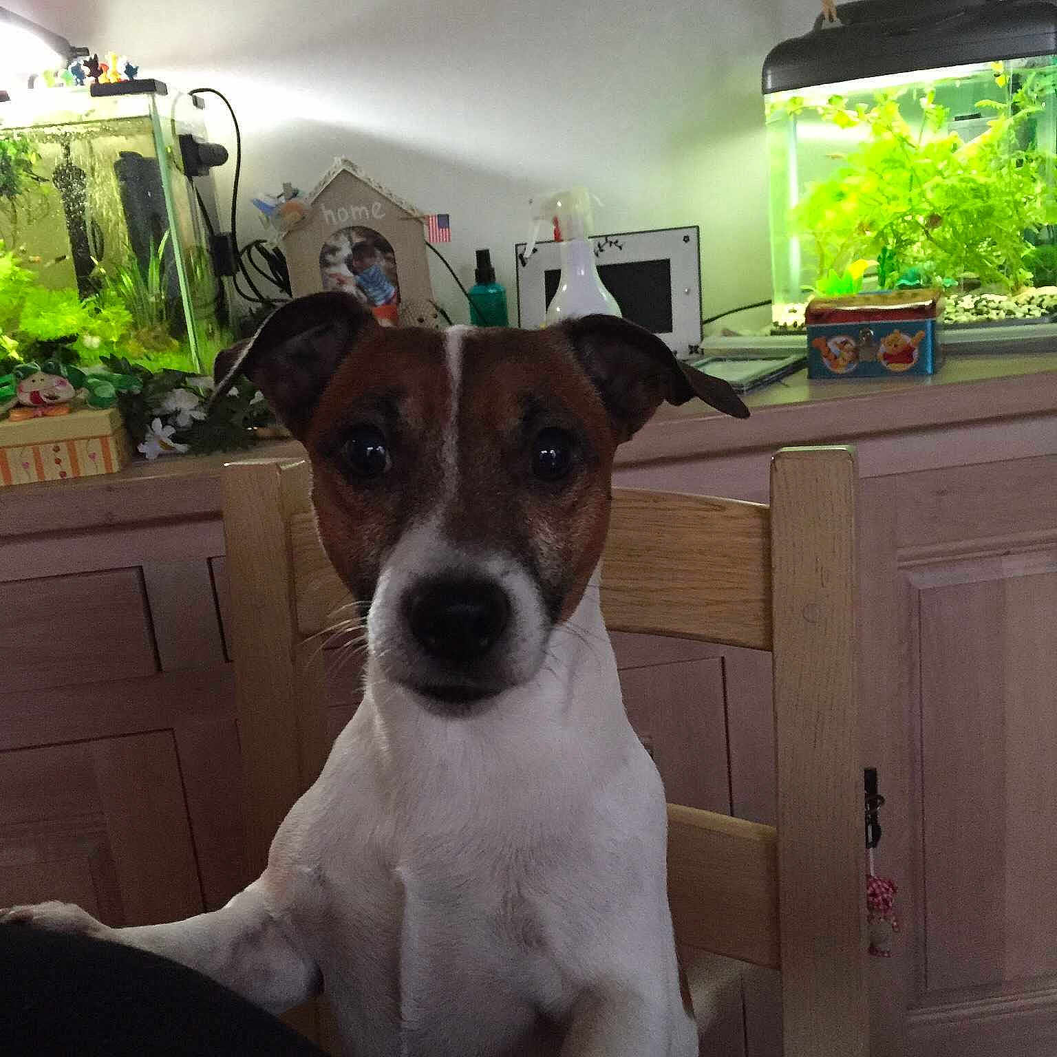 Doby