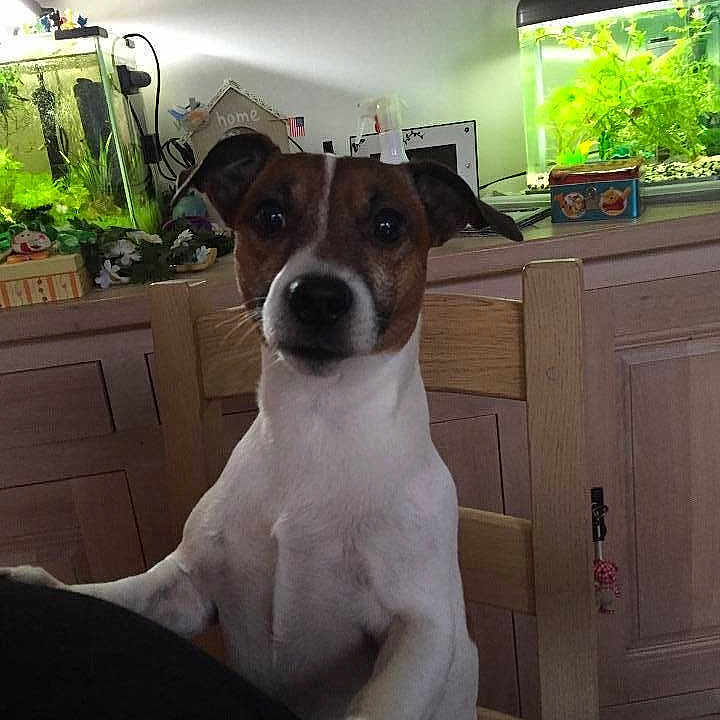 Doby