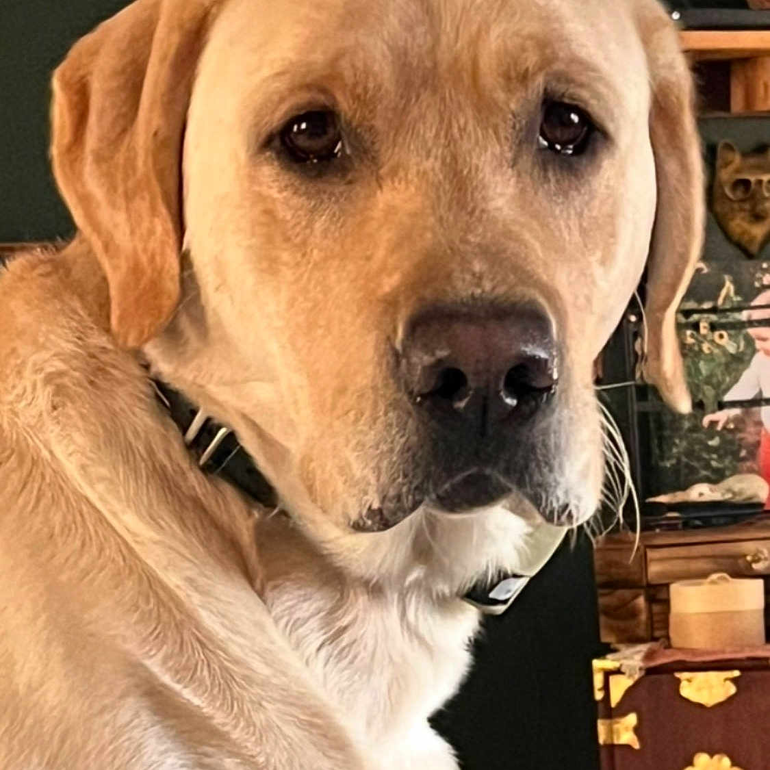 Finley