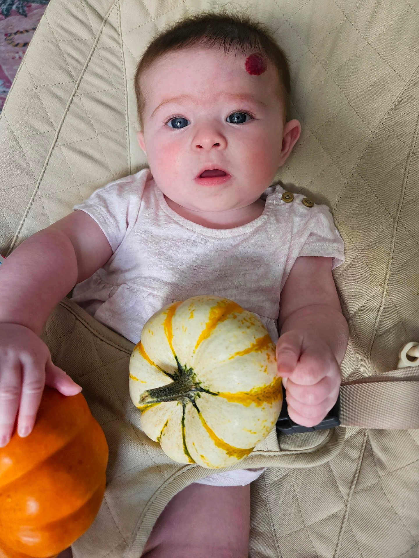 Lilly is registered to the contest to win money with this photo: baby, infant, pumpkin, orange, white, striped, quilted, beige, clothing, face, hand, blue_eyes, skin, sitting, holding, cute, child, portrait, expression, indoor