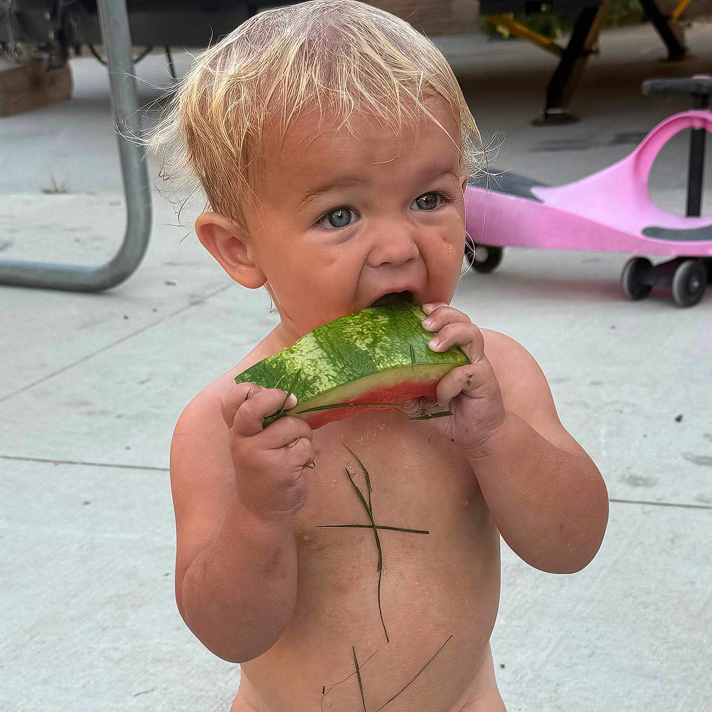 Hudson joined the competition — help win amazing prizes! toddler, child, watermelon, fruit, outdoor, concrete, toy_car, pink, bare_chest, grass, blonde_hair, bite, summer, play, cute, food, happy, person, young_child, daytime