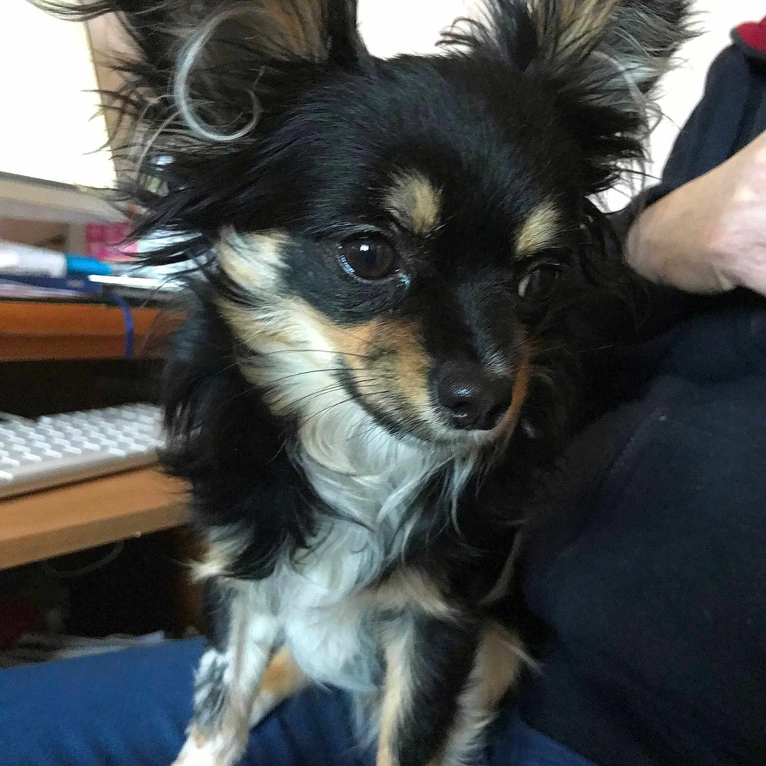 Julie