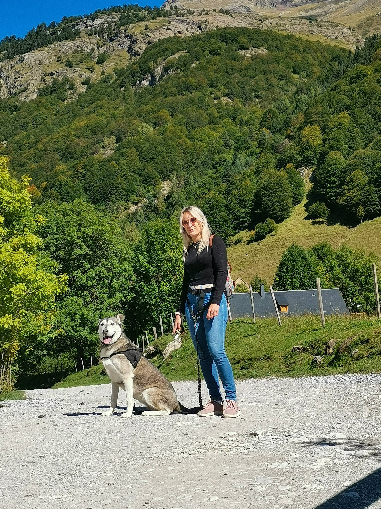 Nayelli participe au concours pour gagner de l'argent avec cette photo : carnivore, companion_dog, dog, dog_breed, dog_hiking, fawn, grass, grassland, hill, landscape, leash, leisure, luggage_and_bags, mountain, people_in_nature, plant, recreation, sky, travel, tree