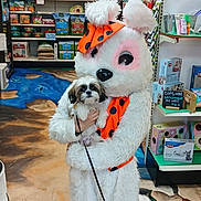 Sully joined the competition — help win amazing prizes! animal_costume, colorful_floor, costume, cute, dog, floor_design, furry, holding, indoor, leash, orange_bow, orange_scarf, pet_store, pet_supplies, pets, shelves, shopping, small_dog, stuffed_animal, white_fur