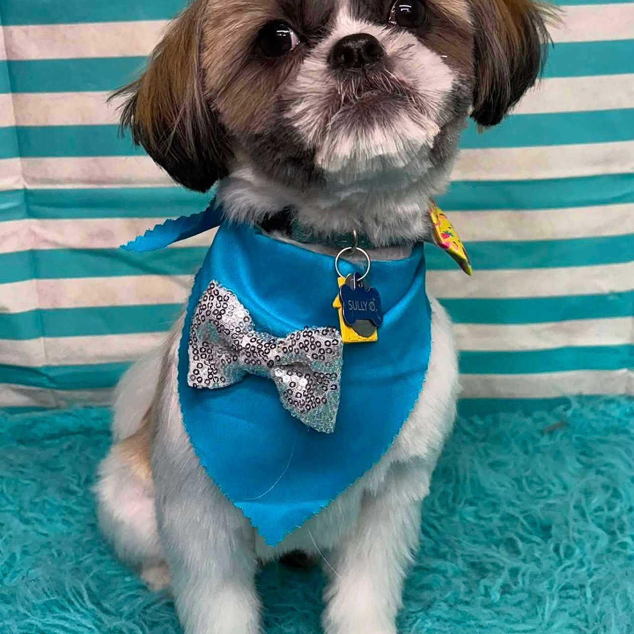 Sully