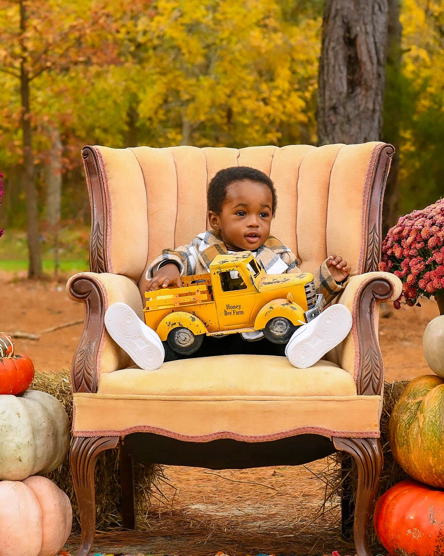 Jaymon is registered to the contest to win money with this photo: baby, calabaza, child, comfort, cucurbita, gourd, grass, happy, leaf, leisure, natural_foods, orange, outdoor_furniture, people_in_nature, person, plant, pumpkin, toddler, tree, winter_squash