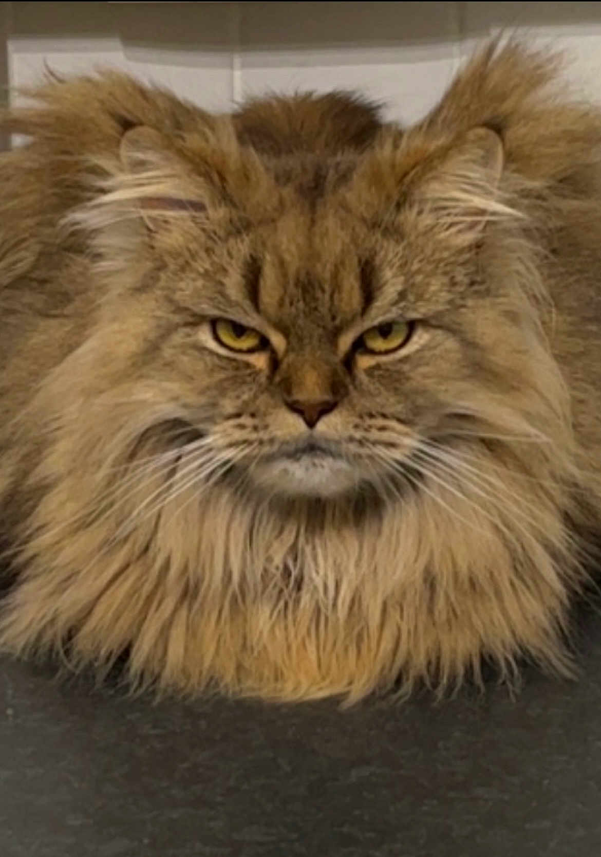 Ruben