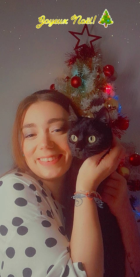 Lexie. participe au concours pour gagner de l'argent avec cette photo : beauty, cat, christmas_decoration, christmas_ornament, christmas_tree, event, fawn, felidae, finger, hair, hand, happy, head, holiday_ornament, iris, long_hair, nail, ornament, small_to_medium_sized_cats, smile