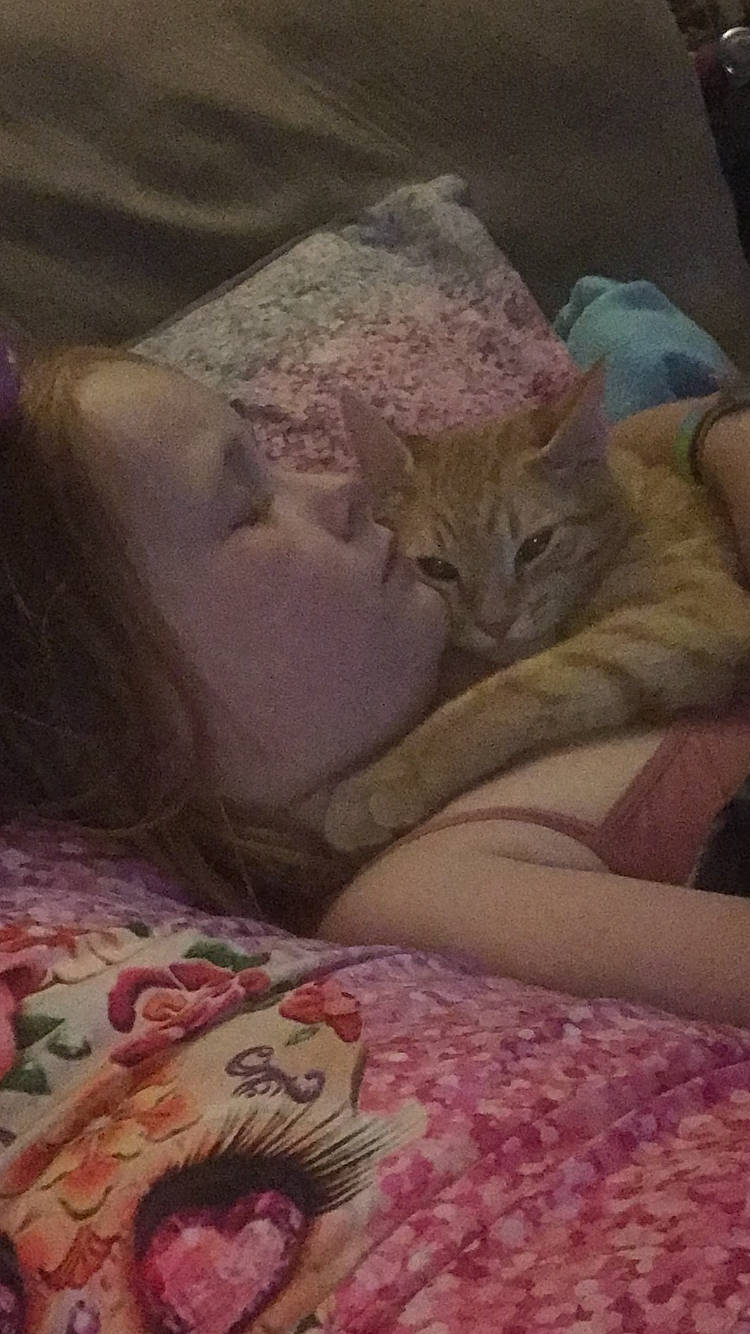 Purry joined the competition — help win amazing prizes! bed, bed_sheet, bedding, bedroom, bedtime, blanket, carnivore, cat, cat_supply, comfort, domestic_short_haired_cat, felidae, fur, linens, nap, pink, sleep, small_to_medium_sized_cats, whiskers