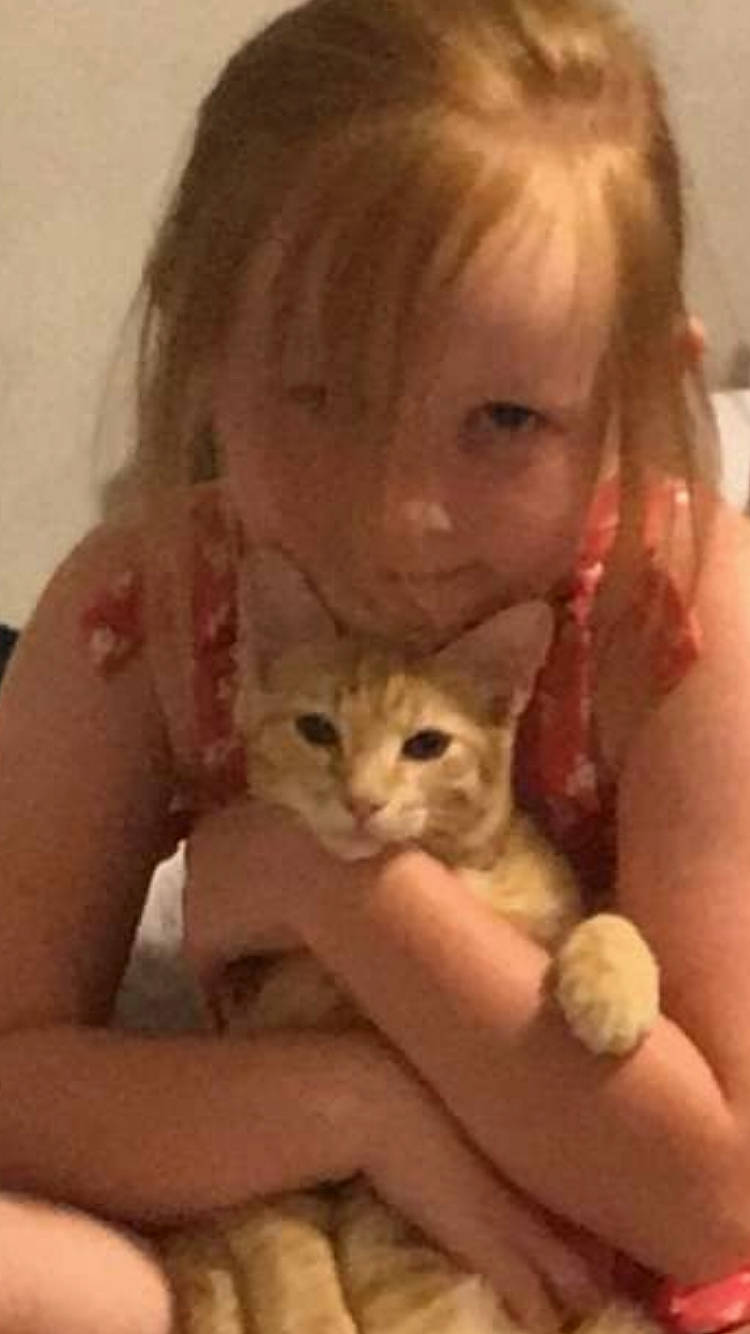 Purry is registered to the contest to win money with this photo: carnivore, cat, cheek, eyebrow, felidae, finger, forehead, hairstyle, hand, human, iris, lip, mammal, nail, organ, sitting, skin, small_to_medium_sized_cats, vertebrate, whiskers