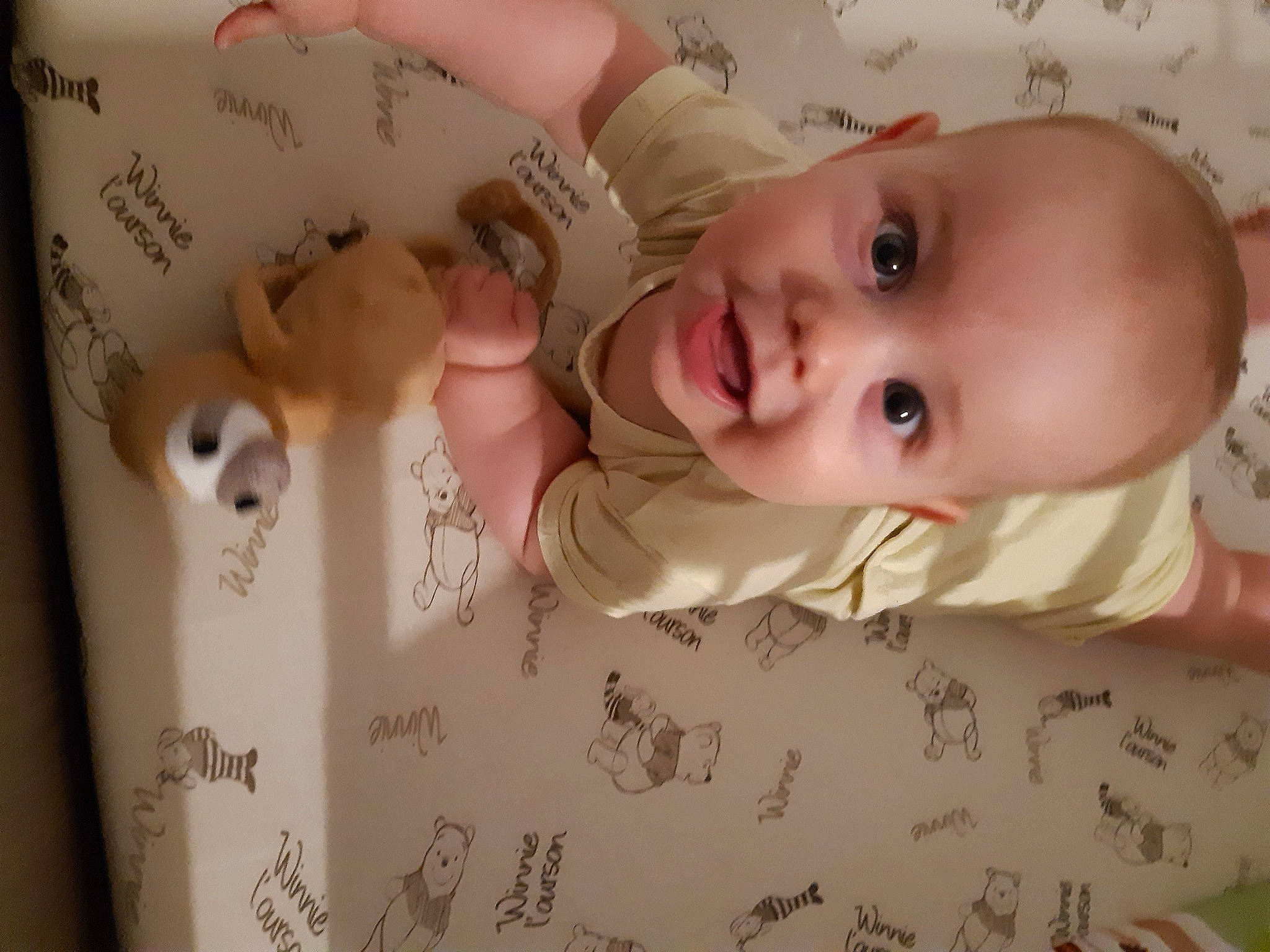 Eren participe au concours pour gagner de l'argent avec cette photo : baby, baby_products, bedtime, cheek, child, eye, face, head, infant_bed, mouth, nose, person, product, skin, toddler