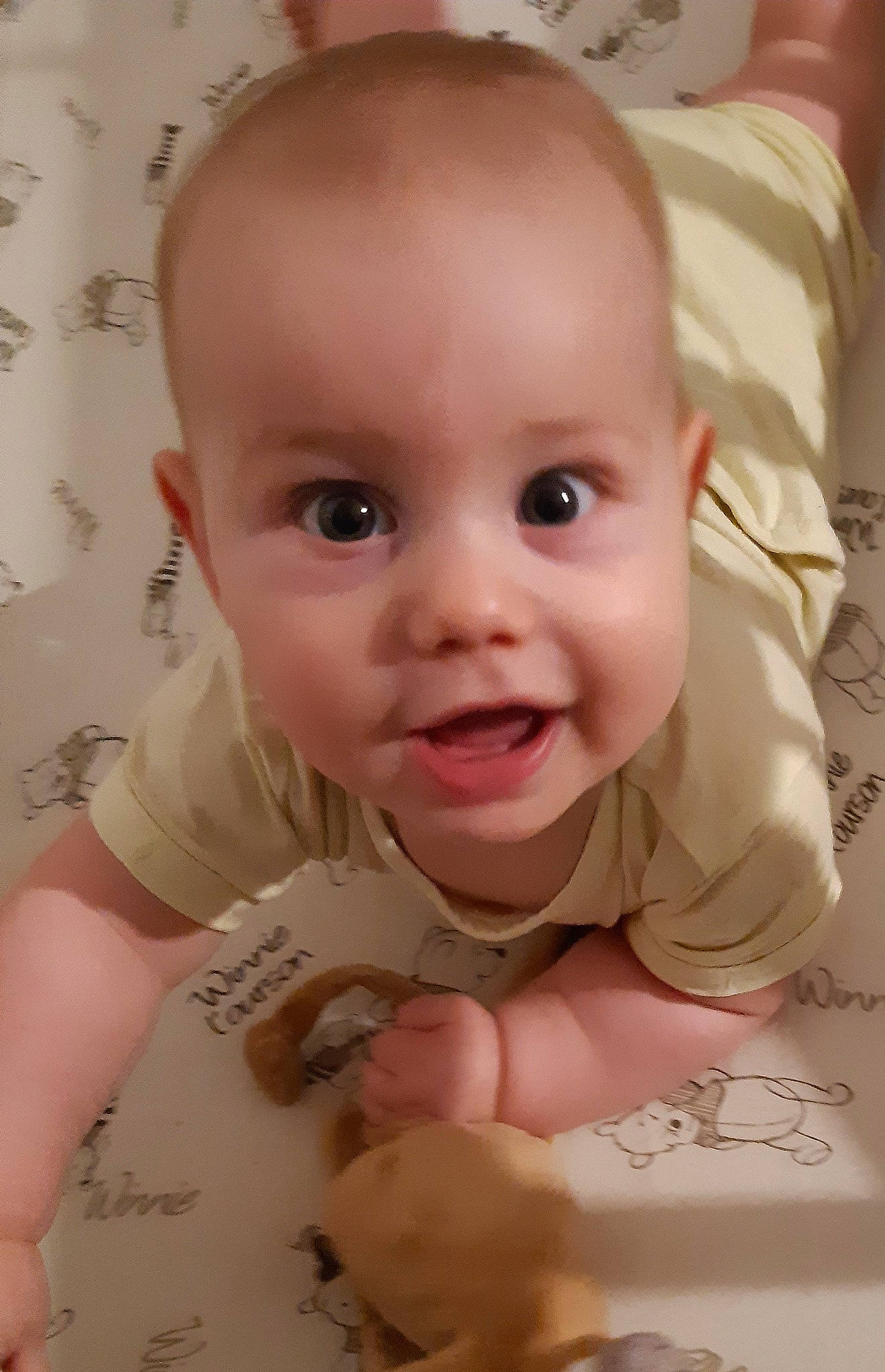 Eren a rejoint le concours — aidez-le/la à gagner de superbes lots ! baby, baby_making_funny_faces, cheek, child, chin, ear, eye, face, facial_expression, forehead, head, lip, mouth, nose, person, skin, smile, toddler