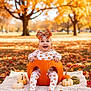 baby, pumpkin, autumn, fall_leaves, outdoor, child, smiling, cute, playful, seasonal, orange, blanket, gourd, nature, park, headwear, happy, sitting, festive, costume