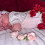 Maëlya a rejoint le concours — aidez-le/la à gagner de superbes lots ! baby, blanket, closeup, clothing, cozy, cute, face, floral_headband, flower_arrangement, hand, indoor, infant, peaceful, pink_roses, portrait, red_roses, resting, skin, sleeping, soft_lighting
