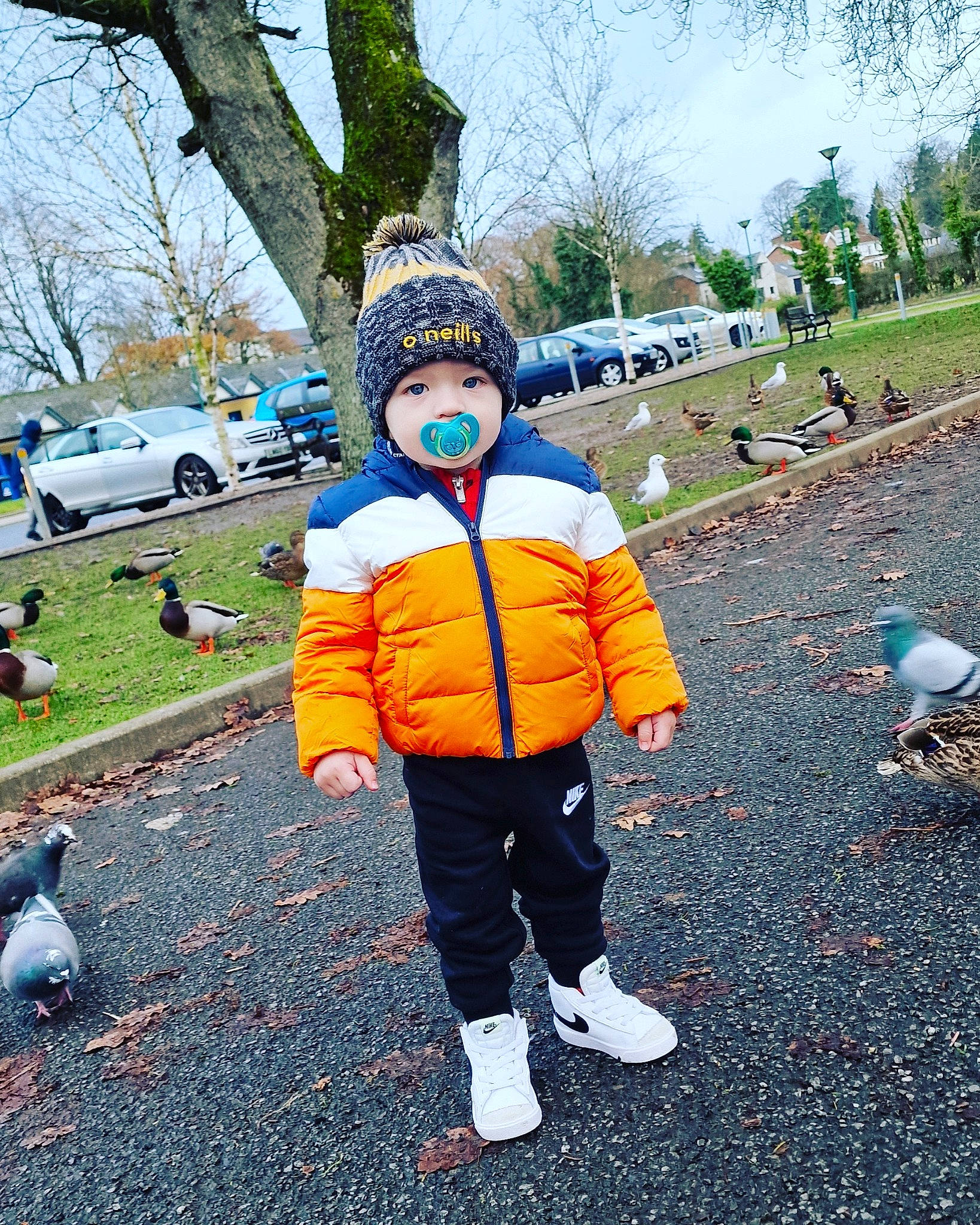 Jaxson joined the competition — help win amazing prizes! asphalt, bird, car, electric_blue, grass, headwear, jacket, leisure, person, plant, public_space, recreation, road, road_surface, sidewalk, sky, tire, toddler, tree, vehicle