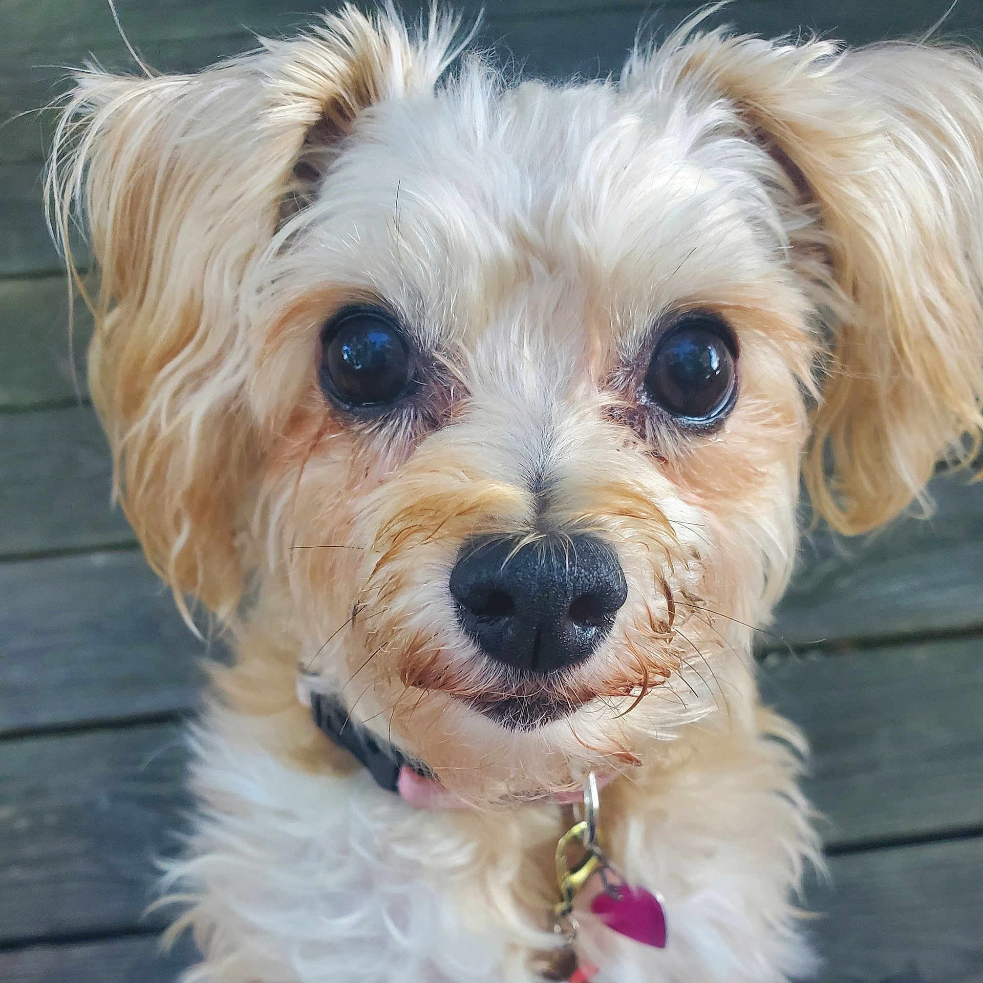 Zoe