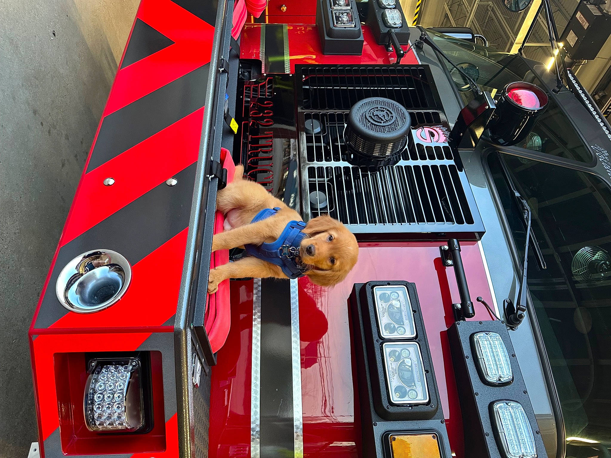 Hudson is registered to the contest to win money with this photo: auto_part, automotive_design, automotive_exterior, automotive_lighting, automotive_tire, automotive_wheel_system, automotive_window_part, bumper, engineering, grille, hood, human_leg, machine, motor_vehicle, red, tire, transport, vehicle, vehicle_door, windshield