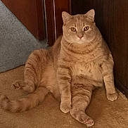 Oliver is registered to the contest to win money with this photo: