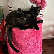 Trixie is registered to the contest to win money with this photo: animal, cat, chair, cozy, cute, furniture, hello_kitty, indoor, pet, pink, plush, relaxing, resting, sleeping, soft, tail, tortoiseshell, toy, wall, wood_floor