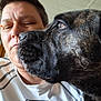 animal, black_dog, bond, brown_dog, canine, casual, close_up, dog, expression, face, head, indoor, interaction, nose, person, pet, portrait, short_hair, stripes, white_shirt