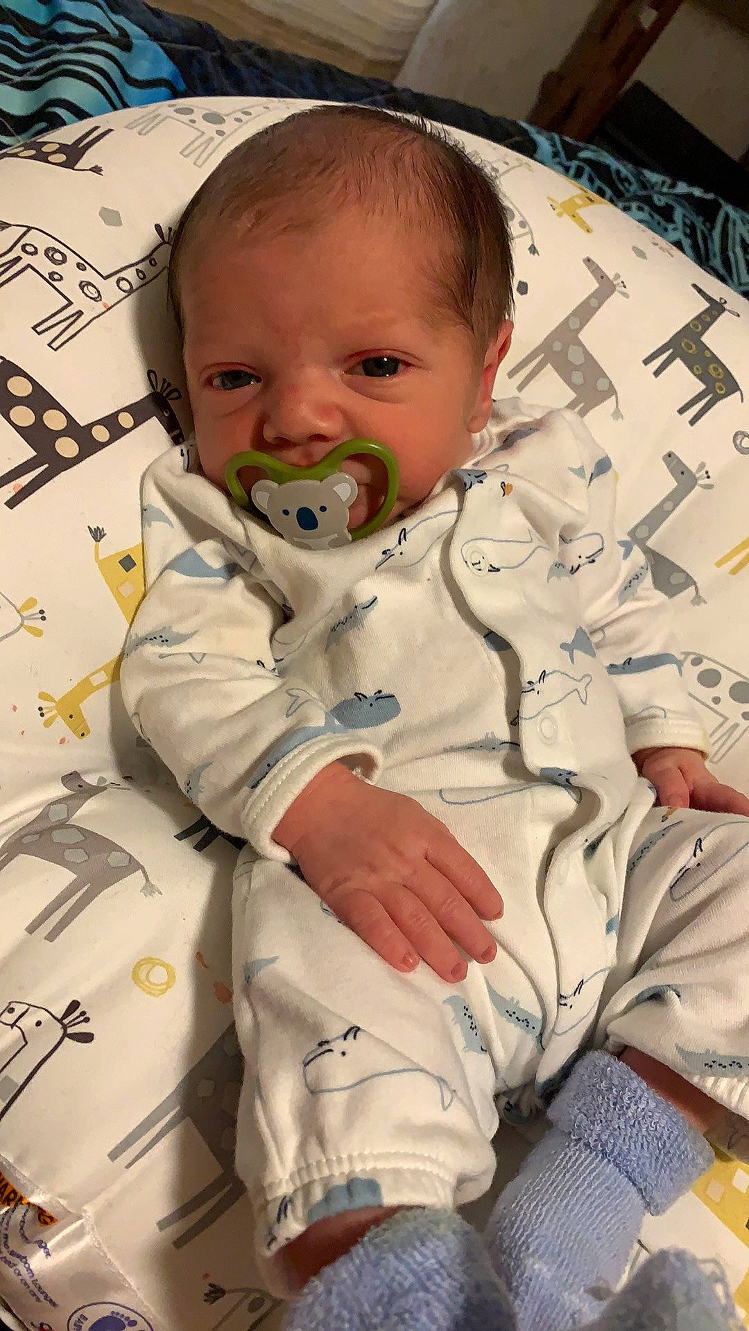 Waylon is registered to the contest to win money with this photo: baby, baby_toddler_clothing, cheek, child, comfort, eyebrow, face, forehead, gesture, head, human_body, mouth, nose, person, photograph, product, skin, sleeve, textile, toddler