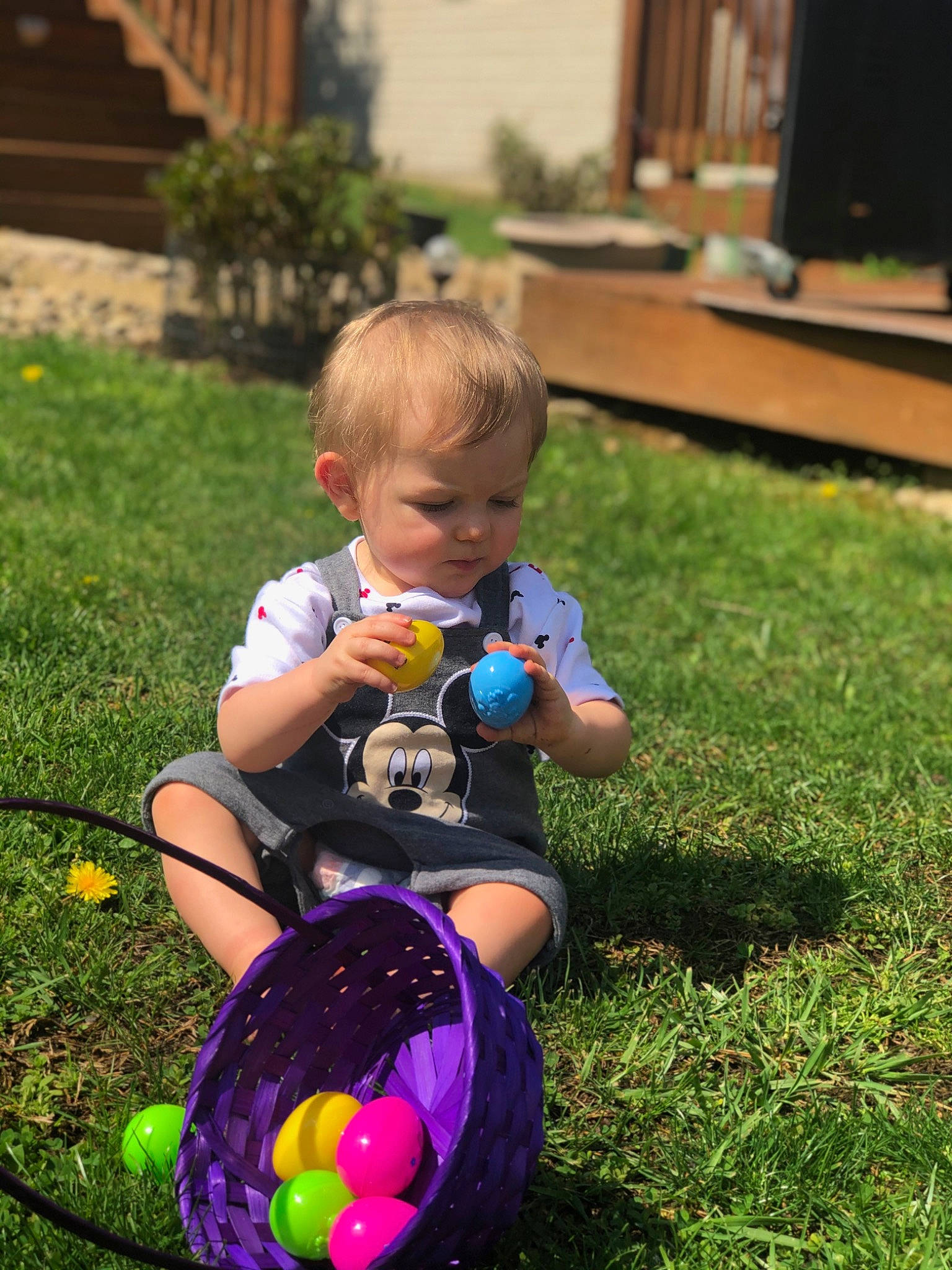Parker joined the competition — help win amazing prizes! backyard, ball, child, easter, easter_egg, fun, garden, grass, holiday, lawn, person, play, sitting, toddler, water, watering_can, yard