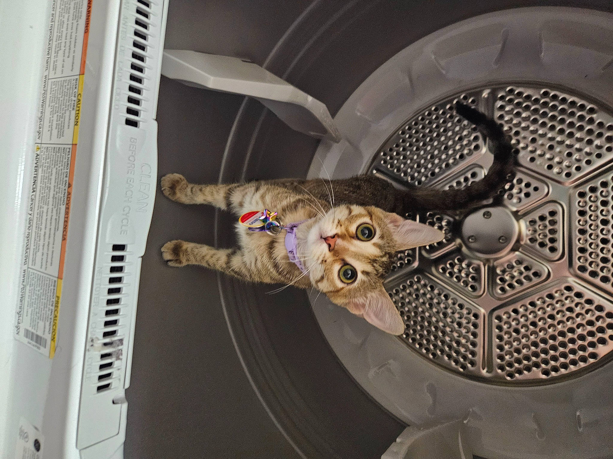 Waffles is registered to the contest to win money with this photo: aerospace_engineering, aircraft_engine, auto_part, automotive_design, automotive_exterior, automotive_lighting, automotive_tire, automotive_wheel_system, circle, engineering, font, machine, metal, motor_vehicle, personal_protective_equipment, rim, space