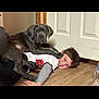 Tyr Kane is registered to the contest to win money with this photo: puppy, dog, child, boy, floor, door, indoor, playing, smiling, happy, pet, wooden_floor, casual_clothing, young, friendship, domestic, cute, fun, home, animal