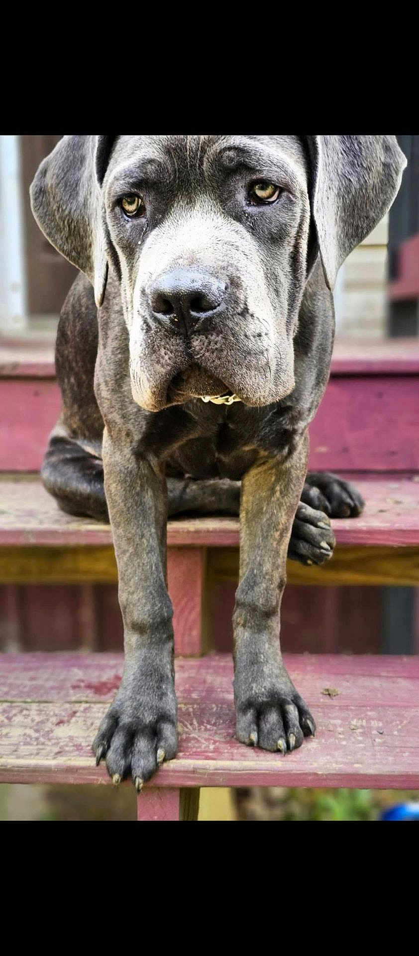 Tyr Kane